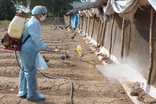 Tin mới về y tế ngày 29/10: Khuyến cáo phòng chống lây nhiễm cúm gia cầm; Hà Nội tăng cường công tác phòng, chống bệnh dại