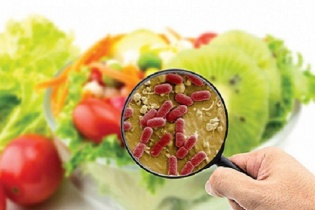 Bộ Y tế hỗ trợ tỉnh Khánh Hòa xử trí vụ ngộ độc thực phẩm nghiêm trọng