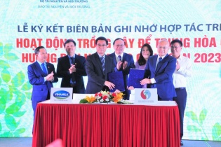 Hợp tác trồng cây để trung hòa Carbon hướng đến Net Zero giai đoạn 2023 - 2027