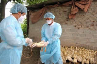 Tin mới về y tế ngày 25/2: Tăng cường giám sát viêm phổi nặng do vi rút cúm A (H5N1)