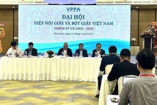 Hiệp hội Giấy và Bột giấy Việt Nam có lãnh đạo mới