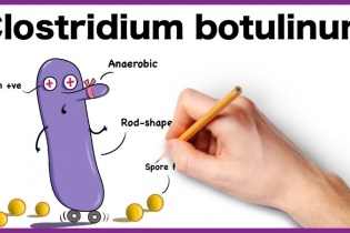 Tăng cường công tác phòng chống ngộ độc do Botulium
