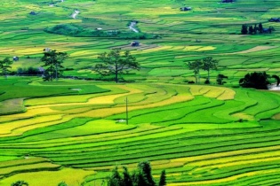 Vì sao một số nội dung, chủ trương chưa được thể chế trong dự thảo Luật Đất đai (sửa đổi)