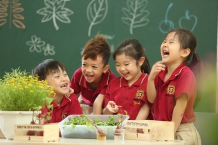 Giải bài toán thu hút, giữ chân giáo viên mầm non