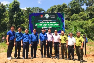Triệu cây xanh - Vì một Việt Nam xanh