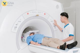 Cảnh báo nhiễm ký sinh trùng từ thói quen chơi và ngủ cùng thú cưng