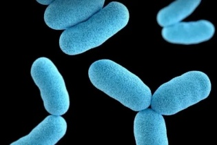 Những biến chứng nguy hiểm của bệnh bạch hầu