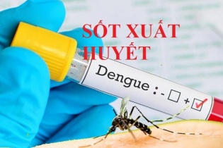 Hà Nội: Thêm 10 ổ dịch sốt xuất huyết trong một tuần