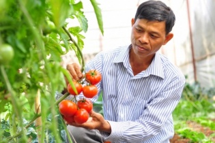 Nỗ lực chuyển đổi số tại các hợp tác xã