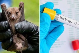 Tin mới y tế ngày 14/10: Tăng cường kiểm dịch, ngăn chặn ca bệnh Marburg từ cửa khẩu