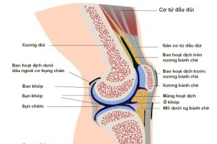 Khô khớp ở người trẻ tăng cao, vì sao?