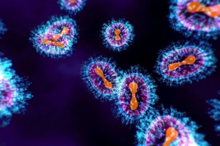 Phòng ngừa bệnh hô hấp mùa Đông Xuân: Cảnh giác với virus hmpv, cúm và sởi
