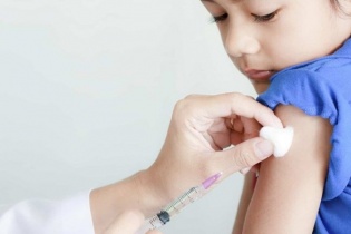 Cảnh báo về bệnh dại và các tai nạn liên quan đến chó cắn