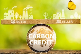 Thí điểm thị trường carbon: Việt Nam chuẩn bị cho nền kinh tế phát thải thấp