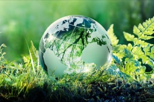 Số hóa: Đòn bẩy chiến lược cho doanh nghiệp Việt trong hành trình chuyển đổi xanh