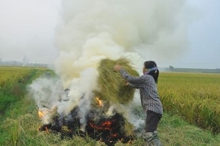 Việt Nam hành động kiểm soát ô nhiễm không khí giai đoạn 2025-2030