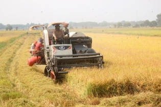 Kinh tế tuần hoàn nông nghiệp cần một chiến lược riêng