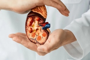 Tin mới y tế ngày 1/8: Báo động gia tăng ca mắc ung thư thận