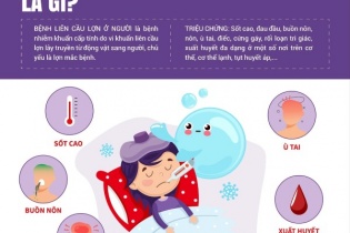 Nguy cơ bệnh liên cầu khuẩn từ vật nuôi Nguy cơ bệnh liên cầu khuẩn từ vật nuôi