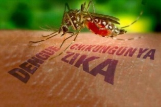 Dịch bệnh Chikungunya tăng tại nhiều nước, Bộ Y tế khuyến cáo khẩn các biện pháp phòng, chống