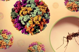 Không hoang mang nhưng cần chủ động ngăn chặn, phòng ngừa dịch Chikungunya