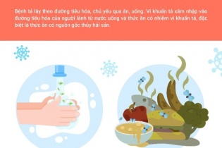 Tin mới y tế ngày 15/9: Đã có 31 quốc gia và vùng lãnh thổ ghi nhận các đợt bùng phát dịch tả