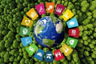 Học hỏi kinh nghiệm quốc tế để phát triển ngành làm mát bền vững