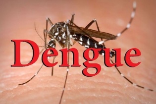 Việt Nam triển khai thử nghiệm lâm sàng vắc-xin sốt xuất huyết mới