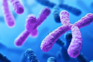 Khám vô sinh, phát hiện bất thường nhiễm sắc thể