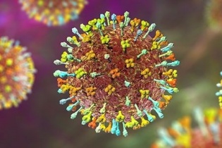 Virus Nipah xâm nhập cơ thể như thế nào và vì sao đặc biệt nguy hiểm