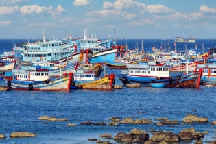 Việt Nam tái định hình quản lý khu bảo tồn biển, hướng tới phát triển bền vững