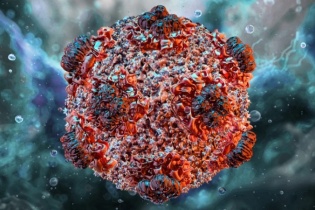 Bộ Y tế lên tiếng về chùm ca nhiễm virus Hanta trên tàu quốc tế