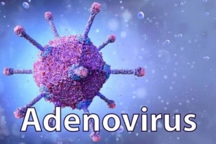 Virus Adeno gia tăng ở trẻ em, Bộ Y tế khuyến cáo phòng bệnh
