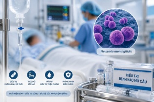 Cẩn trọng với bệnh não mô cầu trong dịp đầu năm học