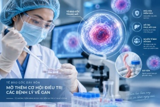 Tin mới y tế ngày 9/9: Mở hướng nghiên cứu tế bào gốc hỗ trợ điều trị xơ gan do viêm gan B