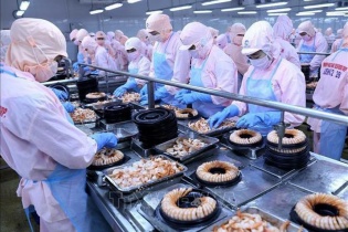 Thủy sản Minh Phú: Quý I/2022, lợi nhuận đạt 91 tỷ đồng, hoàn thành 7,1% kế hoạch