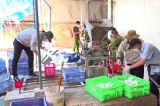 Điều tra hành vi gây ô nhiễm môi trường tại Công ty cổ phần Bóng đèn Điện Quang