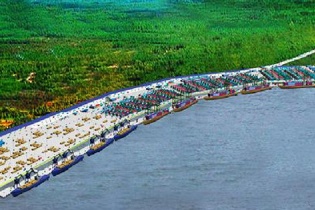 Cảng Phước An muốn phát hành riêng lẻ 50 triệu cổ phiếu với giá thấp hơn thị trường