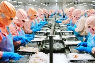 Thủy sản Minh Phú: Doanh thu quý II tăng, nhưng lợi nhuận giảm