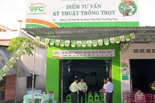 Khử trùng Việt Nam (VFG): Kiểm toán đưa ra ý kiến ngoại trừ báo cáo bán niên năm 2022