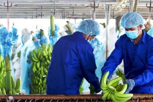Hoàng Anh Gia Lai: Kiểm toán nghi ngờ đáng kể về khả năng hoạt động liên tục