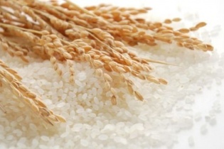 Vinafood II: Kiểm toán tiếp tục đưa ra ý kiến ngoại trừ Báo cáo bán niên năm 2022