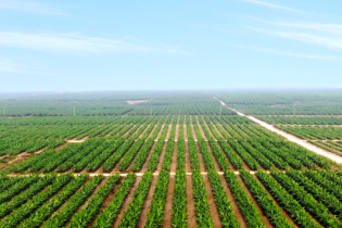 Sau 3 ngày thông báo tạm dừng, HAGL bất ngờ quay lại kế hoạch phát hành riêng lẻ