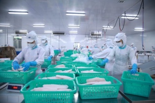Quý IV/2022, lợi nhuận IDI giảm 70,6% về còn 25,09 tỷ đồng