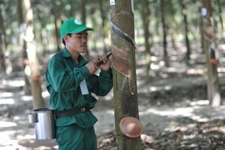GVR: Điều chỉnh giảm kế hoạch lợi nhuận giúp vượt kế hoạch lợi nhuận năm 2022