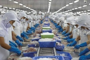 Doanh thu Vĩnh Hoàn tiếp tục giảm mạnh khi các thị trường lớn gặp khó khăn