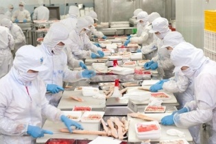 Nam Việt khó đạt được mức tăng trưởng lợi nhuận dương trong năm 2023