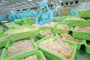 Nam Việt giải thể Công ty bất động sản thành lập đầu năm 2022