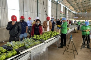 Chăn nuôi heo tiếp tục không đóng góp lợi nhuận cho Hoàng Anh Gia Lai trong tháng 4/2023