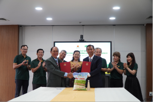 Giống cây trồng Lộc Trời nhận chuyển nhượng quyền giống lúa Nàng Hoa 9